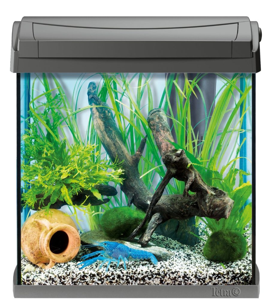 Garnelen Aquarium Tetra Aquaart Discovery Line Garnelenaquarium Net