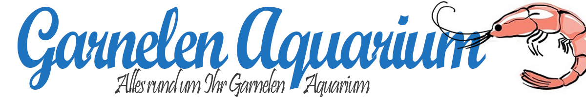 www.GarnelenAquarium.net - Das Nano- und Garnelen Aquarium Portal ✓